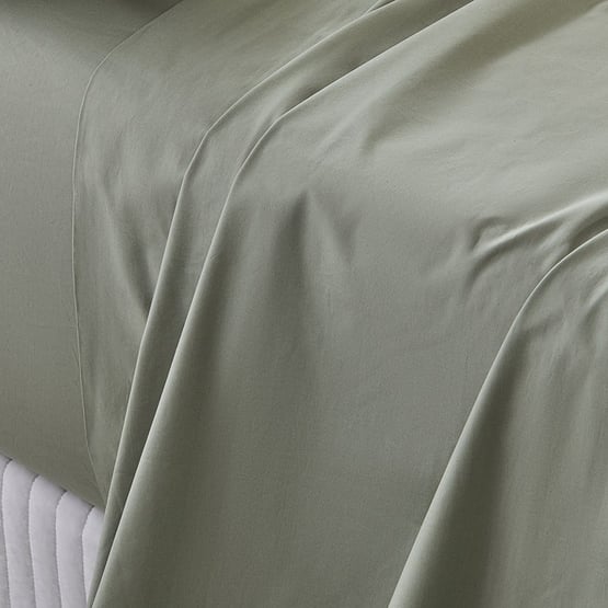 Fresh Cotton Percale Stem Sheet Separates