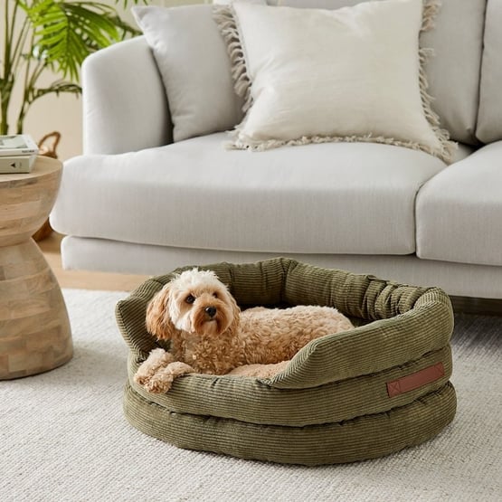 Ziggy Forest Corduroy Pet Bed